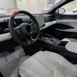 بي واي دي سيل 06 DM-i